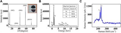 Magnetic properties of Fe intercalation FexTaSe2